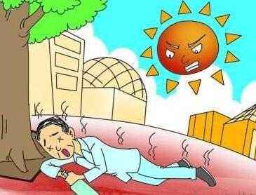 健脾祛湿的秋季茶饮,夏天祛暑湿用什么泡茶好