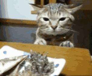 世界上最臭的鲱鱼罐头到底有多臭,世上最香的东西鲱鱼罐头到底多臭