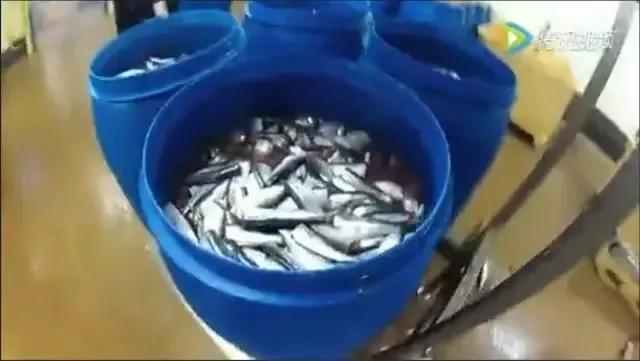 世界上最臭的鲱鱼罐头到底有多臭,世上最香的东西鲱鱼罐头到底多臭