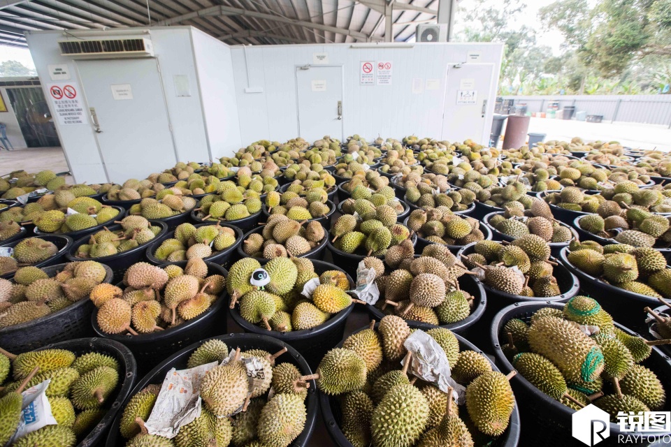 一部手机就可以赚遍全世界原视频,一部手机就能赚钱卖东西