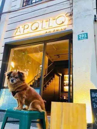 一大波网红新店即将刷爆票圈，小姐姐们，你们准备好PICK了嘛！