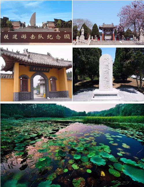 微山湖的荷花美,微山湖湿地红荷旅游攻略