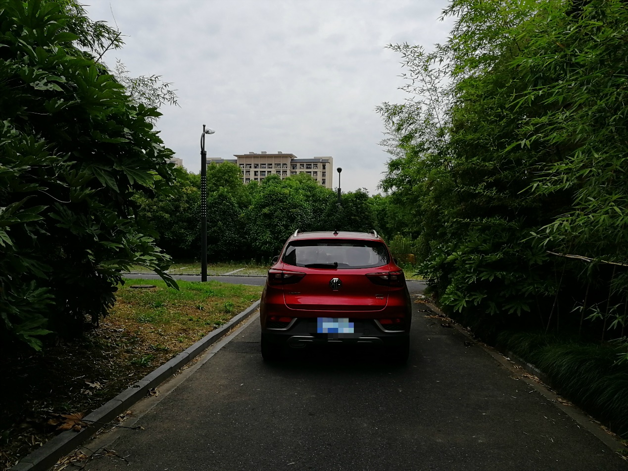 非专业摄影师的ZS体验