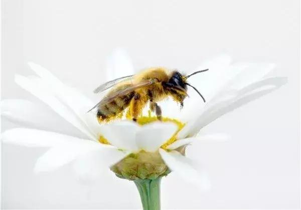 时尚动物世界视频,动物世界时尚打开方式