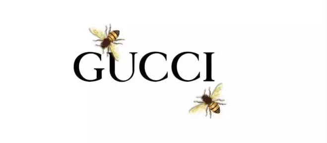 时尚动物世界视频,动物世界时尚打开方式