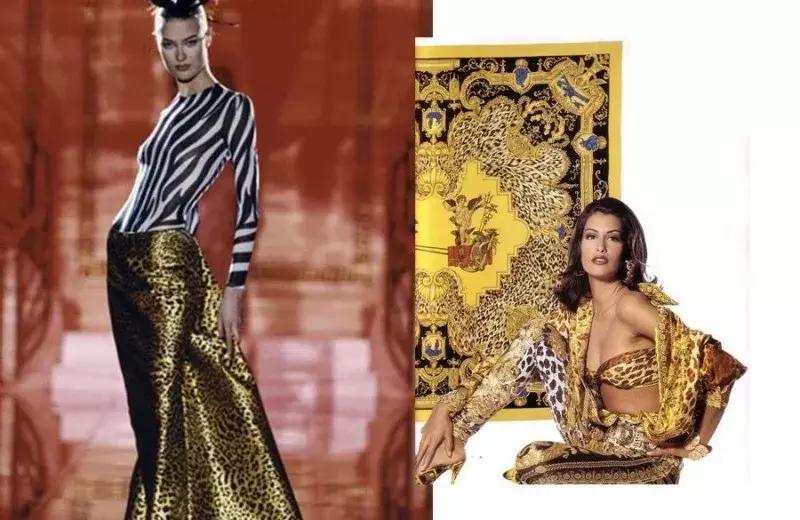 时尚动物世界视频,动物世界时尚打开方式