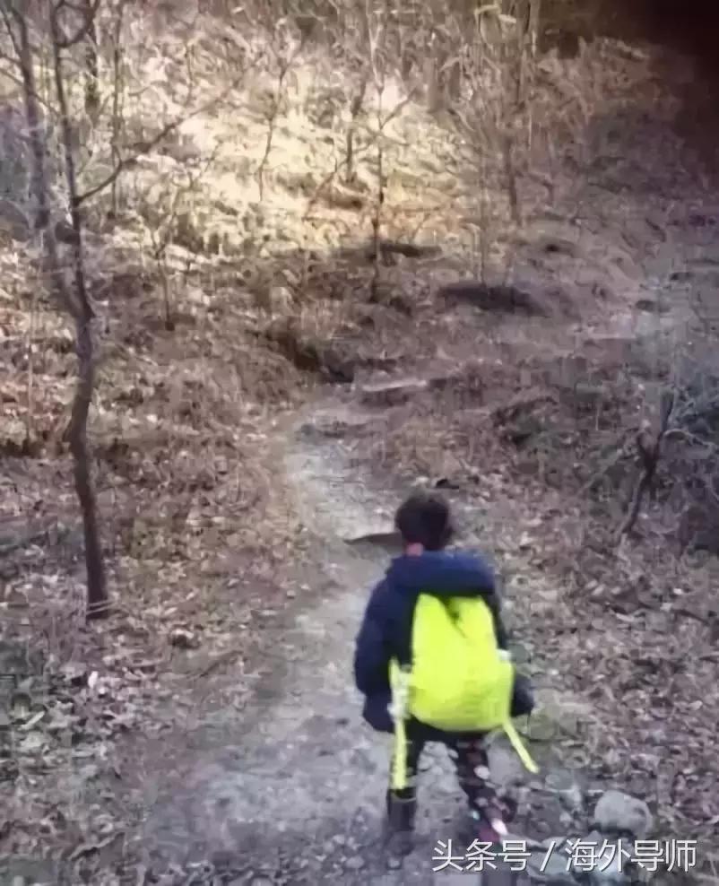 李亚鹏对女儿教育严吗,李亚鹏对孩子说的话