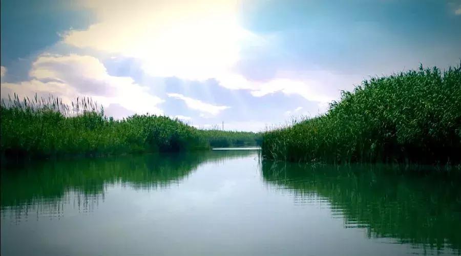 40.8度洋河梦之蓝m3,洋河梦之蓝m1与m3区别