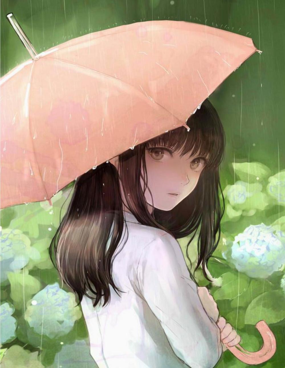 三毛梦里花落知多少哪年写的,三毛梦里花落知多少经典段落