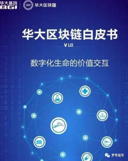 发行山寨币全程解刨，看到此文就此远离山寨币！