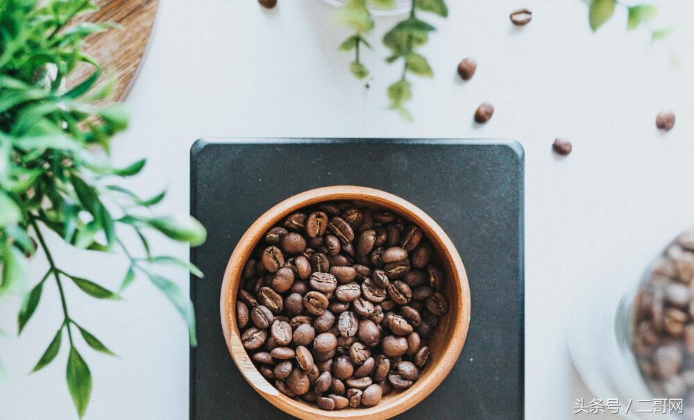 比星巴克好喝的咖啡豆推荐,瑞幸咖啡豆和星巴克咖啡豆
