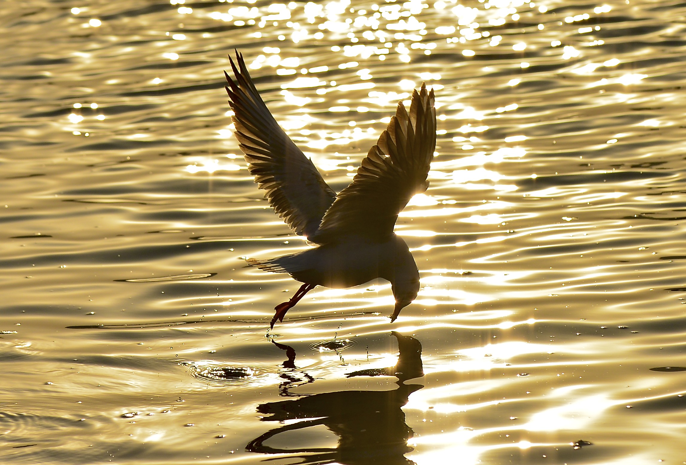 互联网金融利息对比,互联网金融平台贷款利息