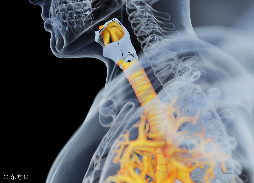 婴儿支气管炎妈妈可以吃药,中西医结合治疗支气管炎的方法