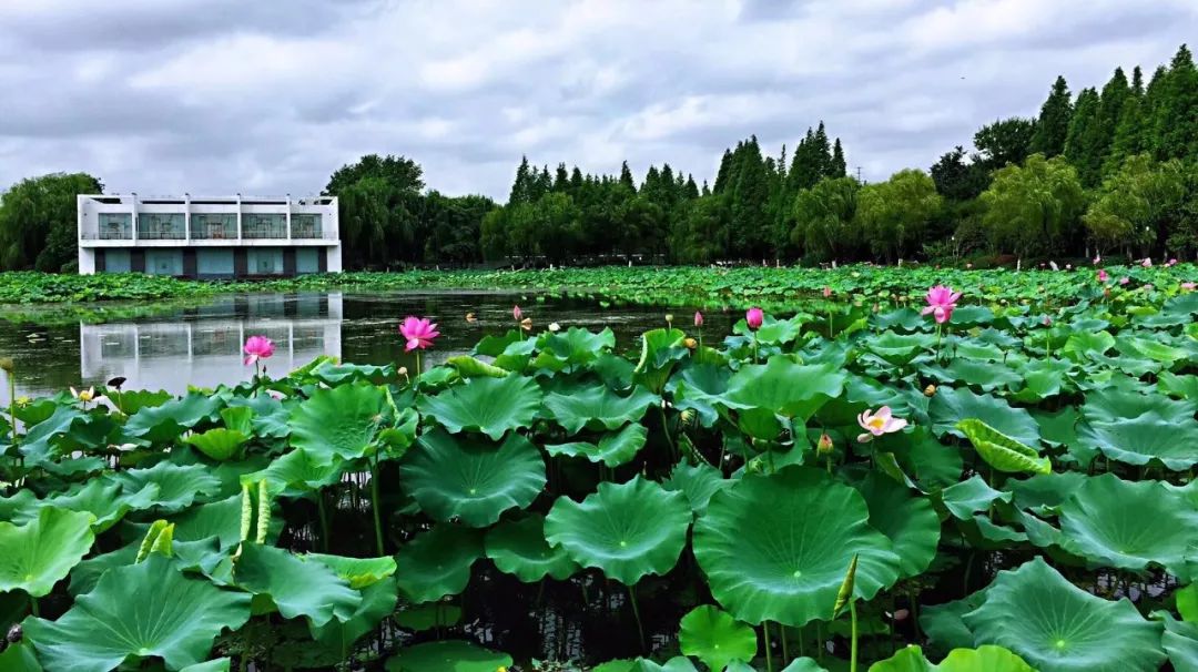 常州十大免费景点,常州所有公园都免费吗
