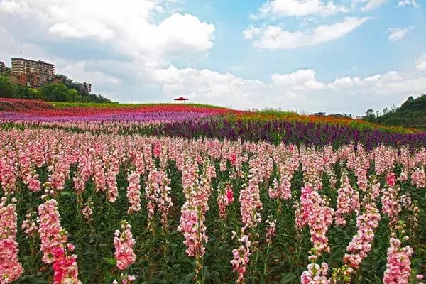 8月1日,花田酒地这场免费军旅很暖心···