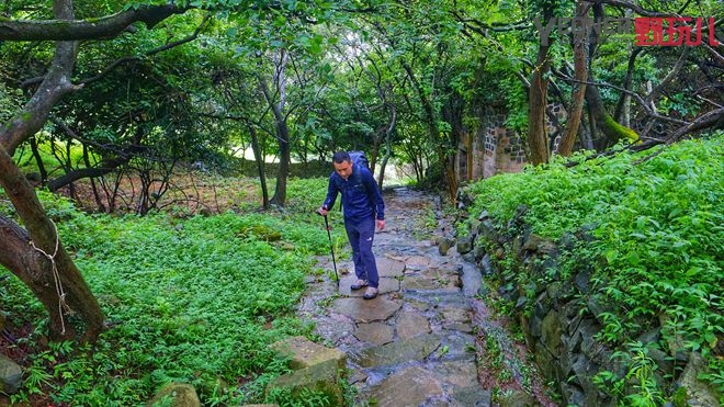 美式夏季运动速干裤,宽松版型运动速干裤