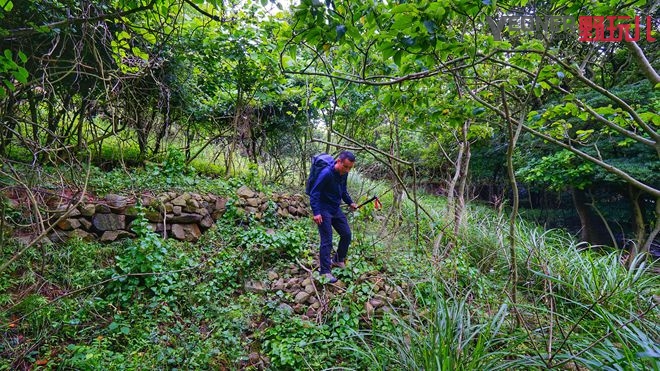 美式夏季运动速干裤,宽松版型运动速干裤