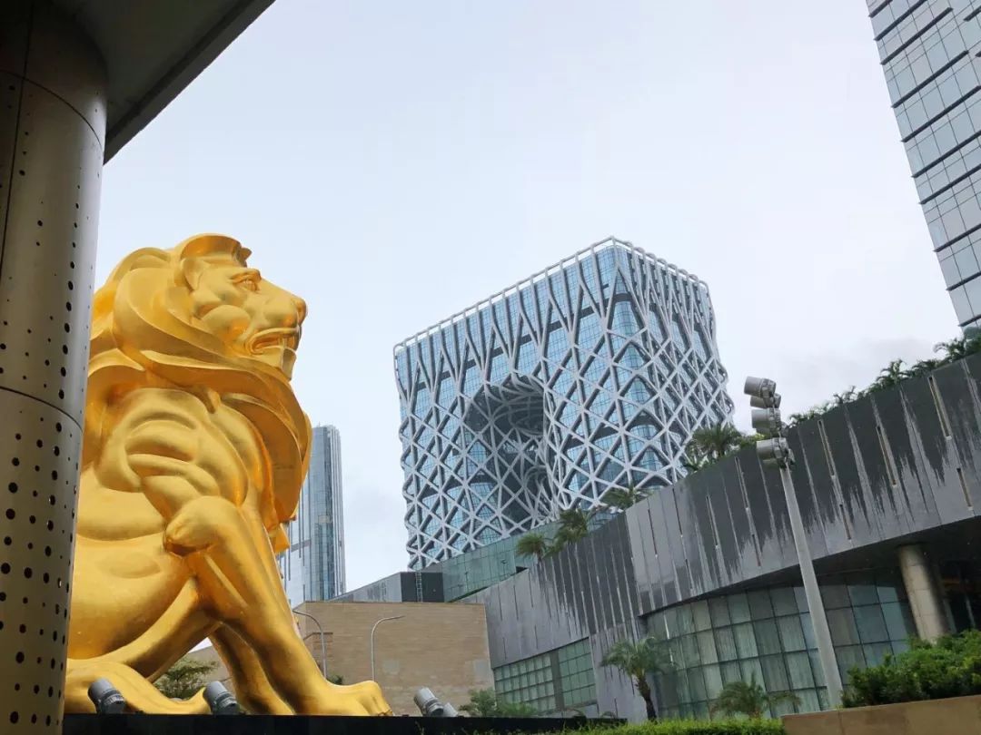 澳门美狮美高梅酒店特色,澳门有几家美狮美高梅酒店