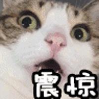 女生尿道口流脓怎么回事,女孩子流脓怎么处理