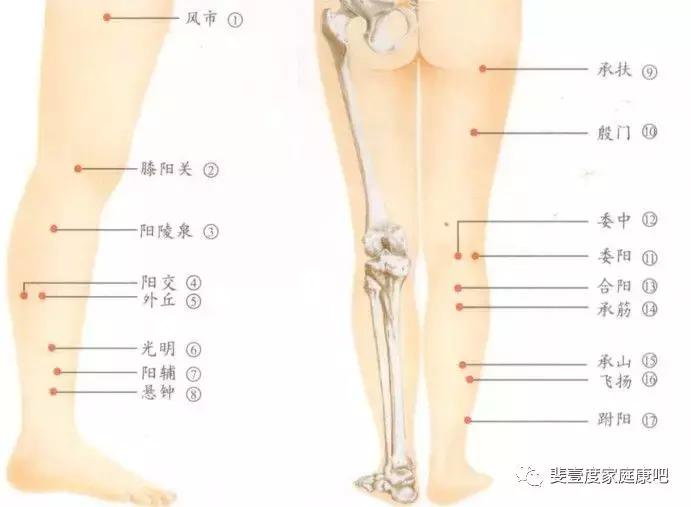 深蹲的好处与功效,深蹲的好处