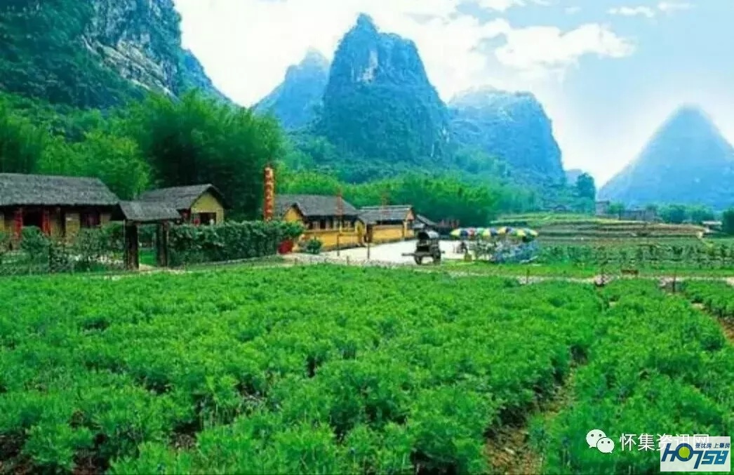 怀集经济形势分析,怀集县经济水平怎样