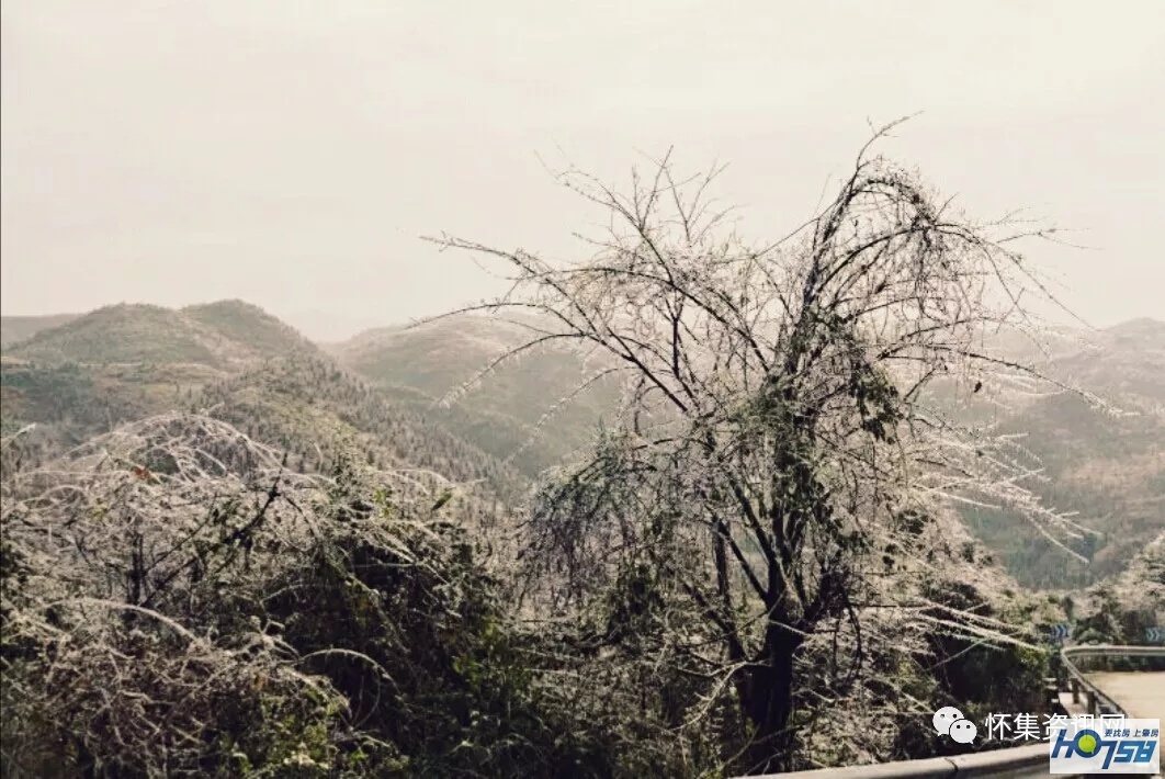 怀集经济形势分析,怀集县经济水平怎样