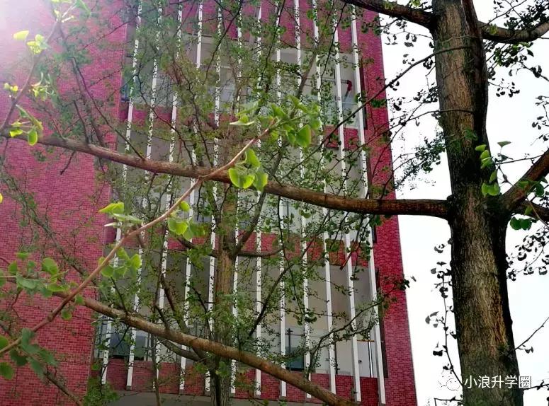 北二外成都附中初中在成都的排名,成都北二外附中简介