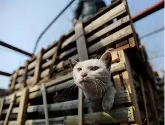 我不能怂歌曲,我不能怂攻略