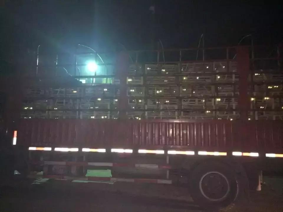 我不能怂歌曲,我不能怂攻略