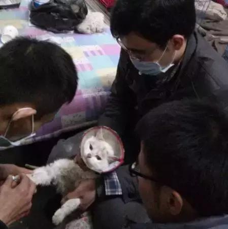 我不能怂歌曲,我不能怂攻略