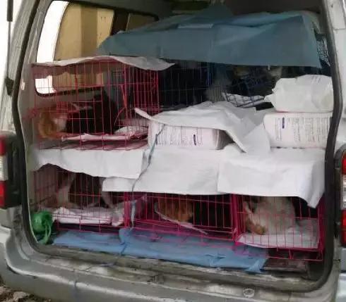 我不能怂歌曲,我不能怂攻略