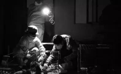 我不能怂歌曲,我不能怂攻略