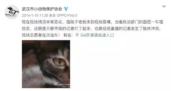 我不能怂歌曲,我不能怂攻略