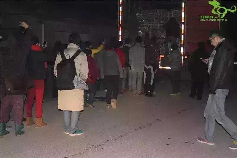 我不能怂歌曲,我不能怂攻略