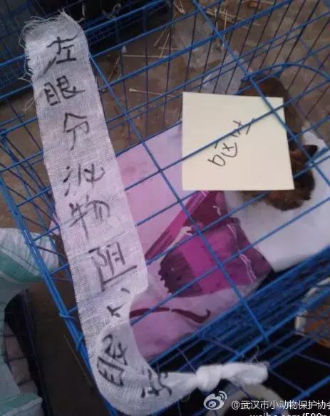 我不能怂歌曲,我不能怂攻略