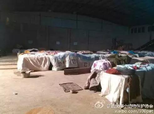 我不能怂歌曲,我不能怂攻略