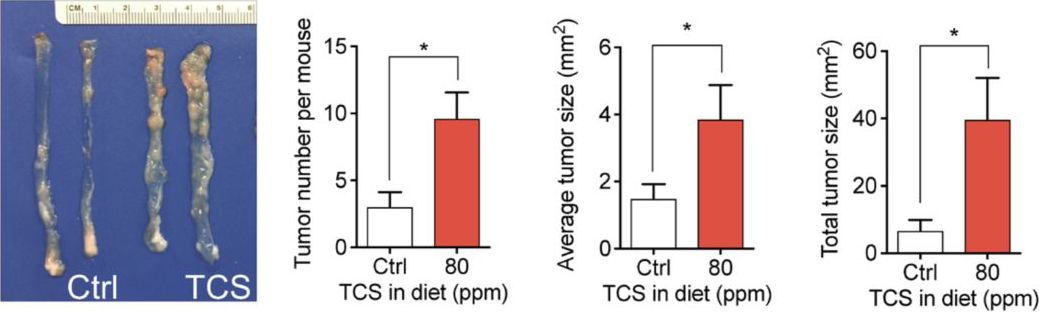 千万不要在澡堂里丢掉自己的肥皂,沐浴液和香皂哪个不易残留