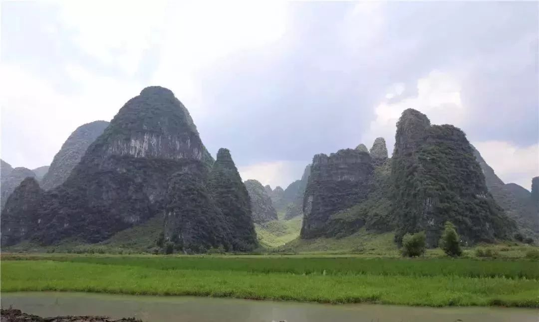 广西贺州农产品展示,贺州特色农产品有哪些