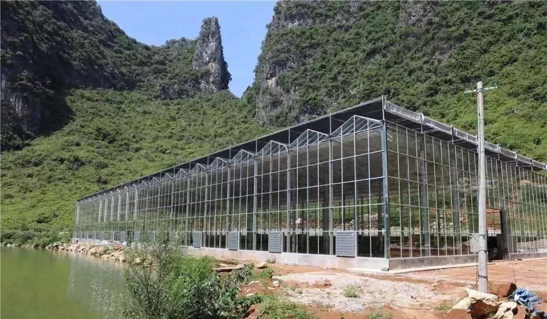 广西贺州农产品展示,贺州特色农产品有哪些