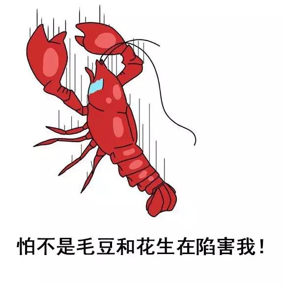 吃小龙虾千万要注意这些,有人说的小龙虾不能吃吗