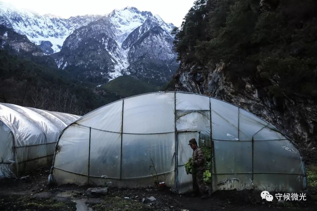 品图:大国末梢的站立者