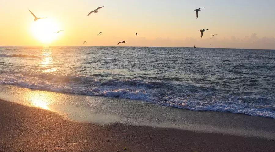 深圳20个值得去的超美海滩,深圳十大最美海滩视频