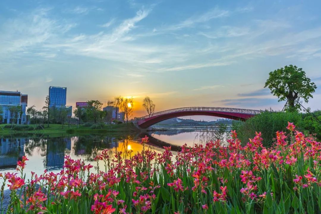 成都南边未来10年的规划图,成都重点片区发展实施方案