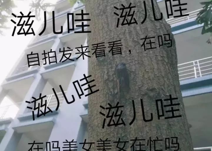 恋爱的女生都这样口是心非对吗,女生不想谈恋爱口是心非