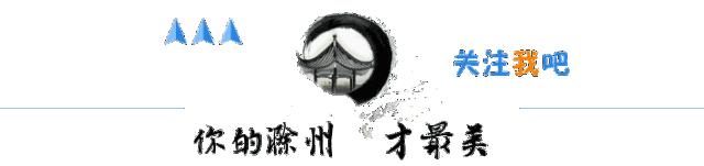 纪委监委关于违规接受宴请的处分,违规接受宴请被通报