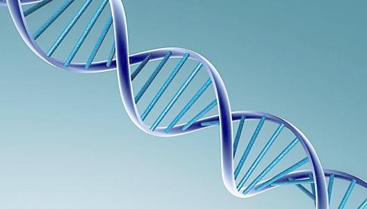 南昌那些“特殊”的高*特中**色班，最后一个能进的属于凤毛麟角