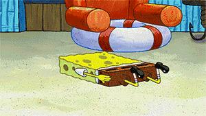 三伏天，龙虎山的“山大王”们开始消暑养生了！