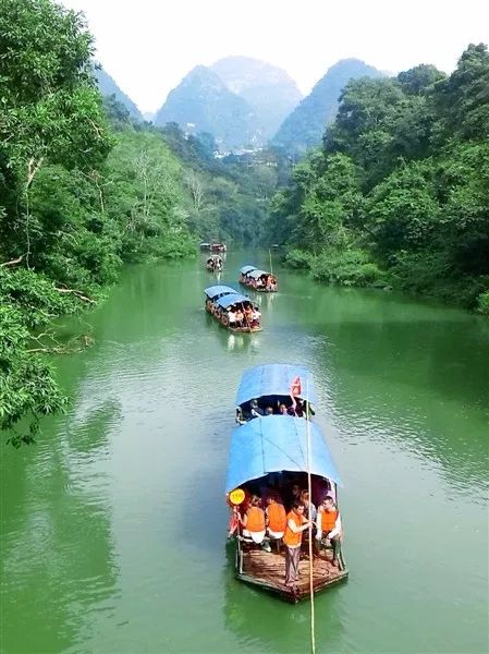 三伏天，龙虎山的“山大王”们开始消暑养生了！