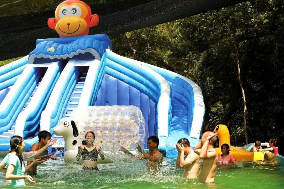 三伏天，龙虎山的“山大王”们开始消暑养生了！