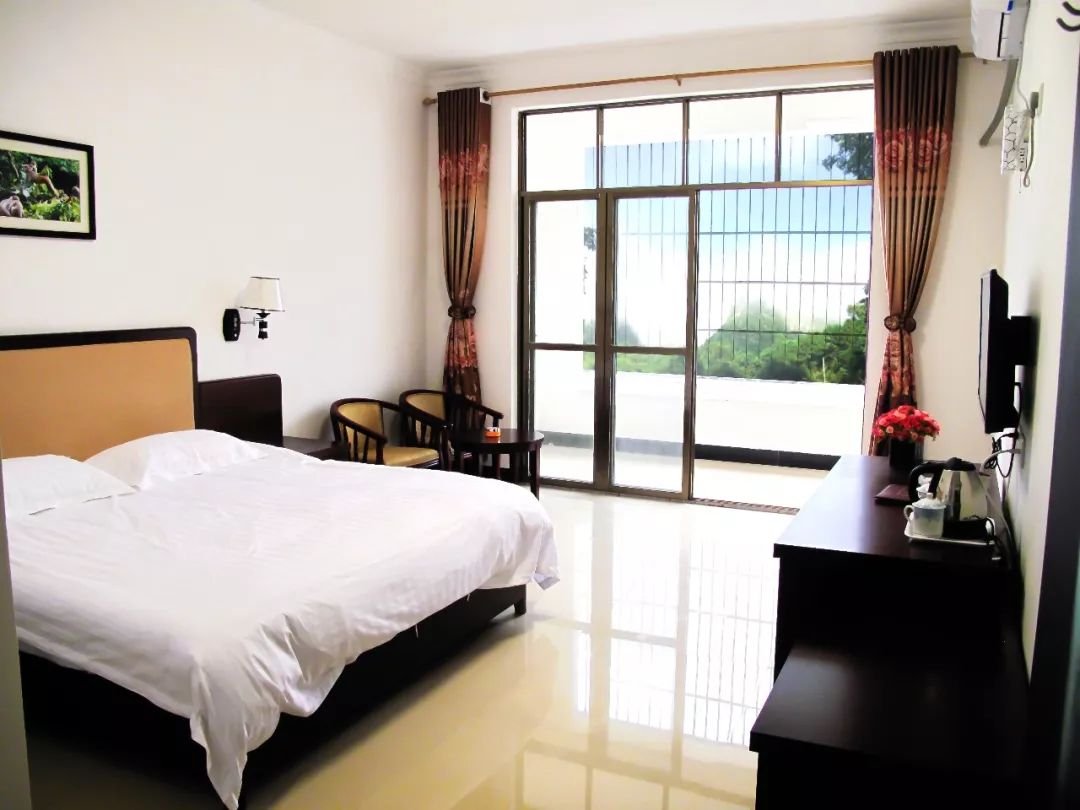 三伏天，龙虎山的“山大王”们开始消暑养生了！